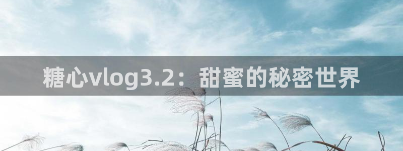 糖心x：糖心vlog3.2：甜蜜的秘密世界