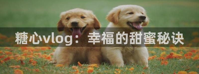 心糖vlog香菜：糖心vlog：幸福的甜