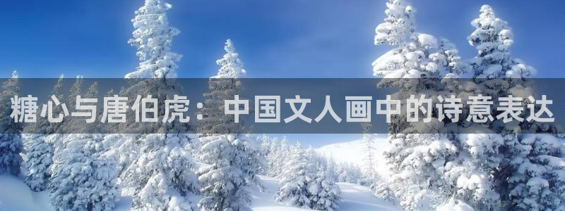 糖心vlog醉酒cc：糖心与唐伯虎：中国