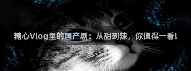 糖心vlog比心小雪：糖心Vlog里的国