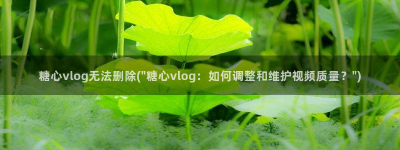 糖心vlog美女名字：糖心vlog无法删除(\