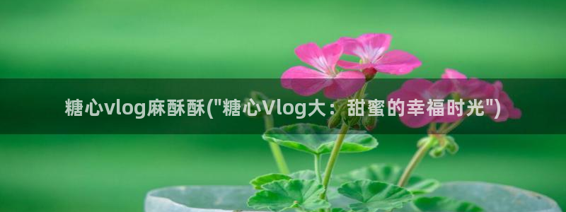 糖心vlog西门庆:糖心vlog麻酥酥(\