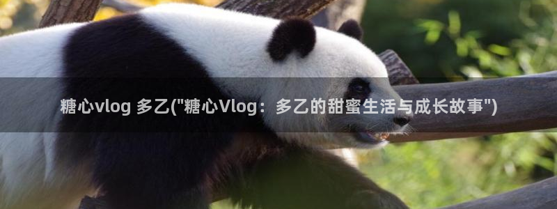 糖心视频vlog首页：糖心vlog 多乙(\