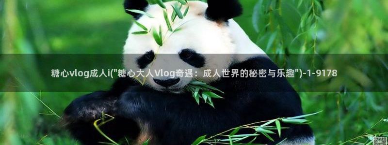 糖心vlog污下载:糖心vlog成人i(\