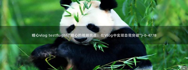 糖心vlog传媒免费:糖心vlog testflught(\