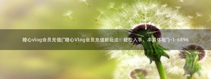 糖心vlog作品