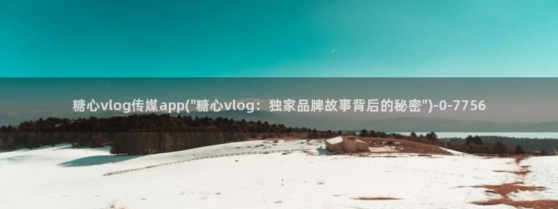 心糖vlog原创