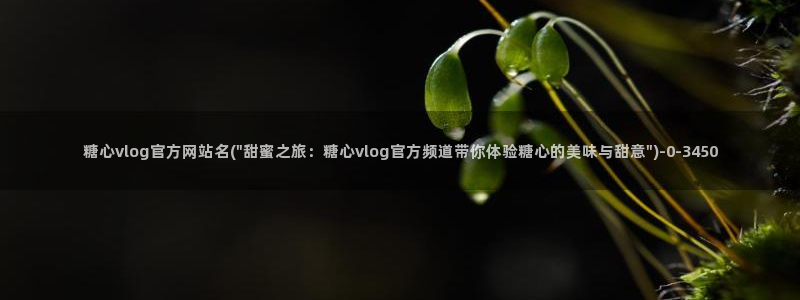 糖心vlog软件下载：糖心vlog官方网站名(\