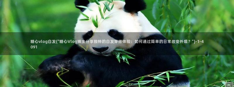 心糖vlog香菜:糖心vlog白发(\