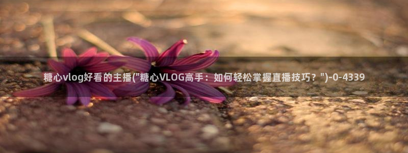 成人糖心vlog网址:糖心vlog好看的