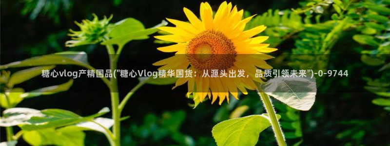 糖心vlog图片：糖心vlog产精国品(\