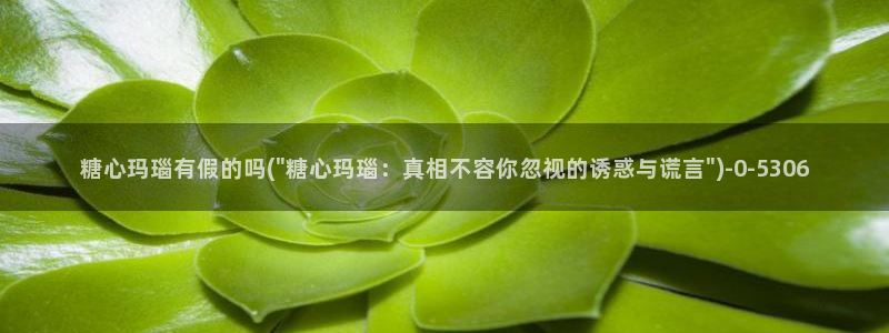 糖心vlog高清