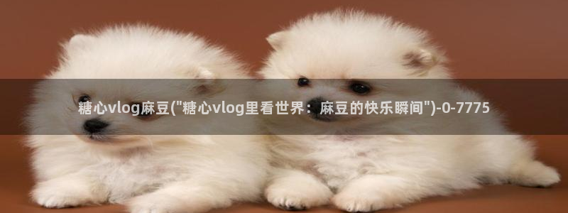 糖心vlog在线进入