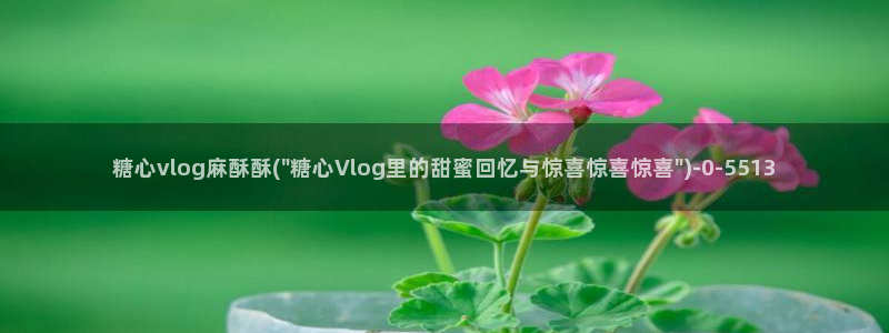 糖心vlog最新网址
