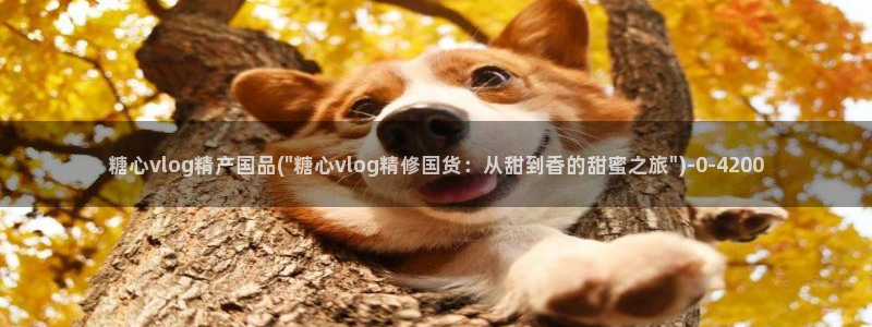 糖心vlog电影