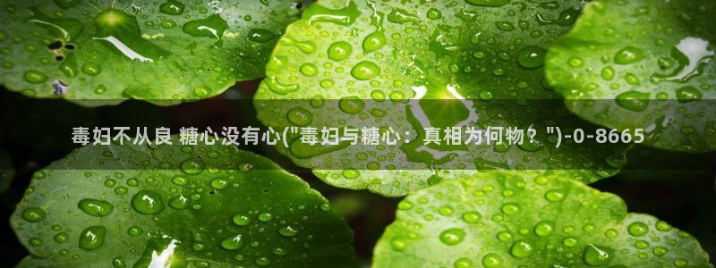 糖心vlog破解版免费观看